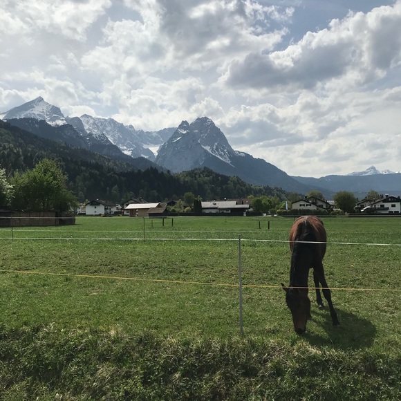 Meet your Posher, Ash - Picture 6 of 6